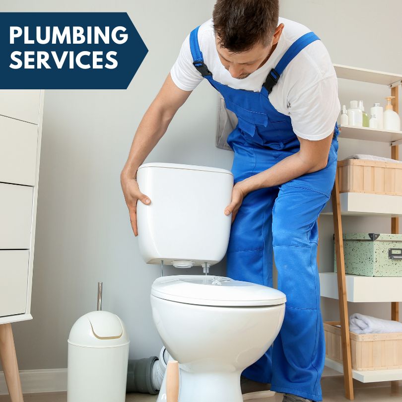 Plumbing Company in Mineral Bluff, GA